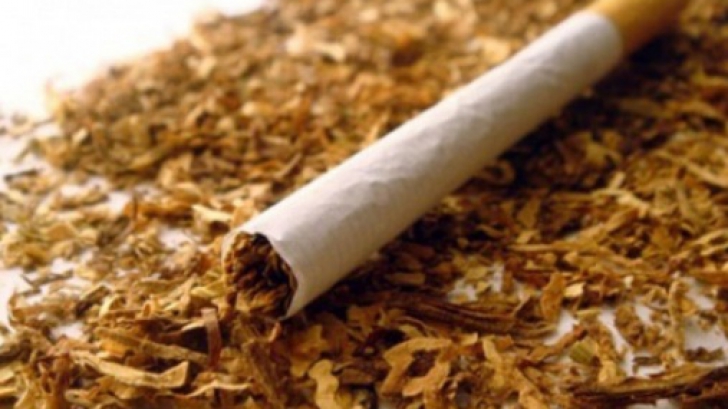 kaliteli tütünün ve adıyaman tütünün özellikleri nelerdir
